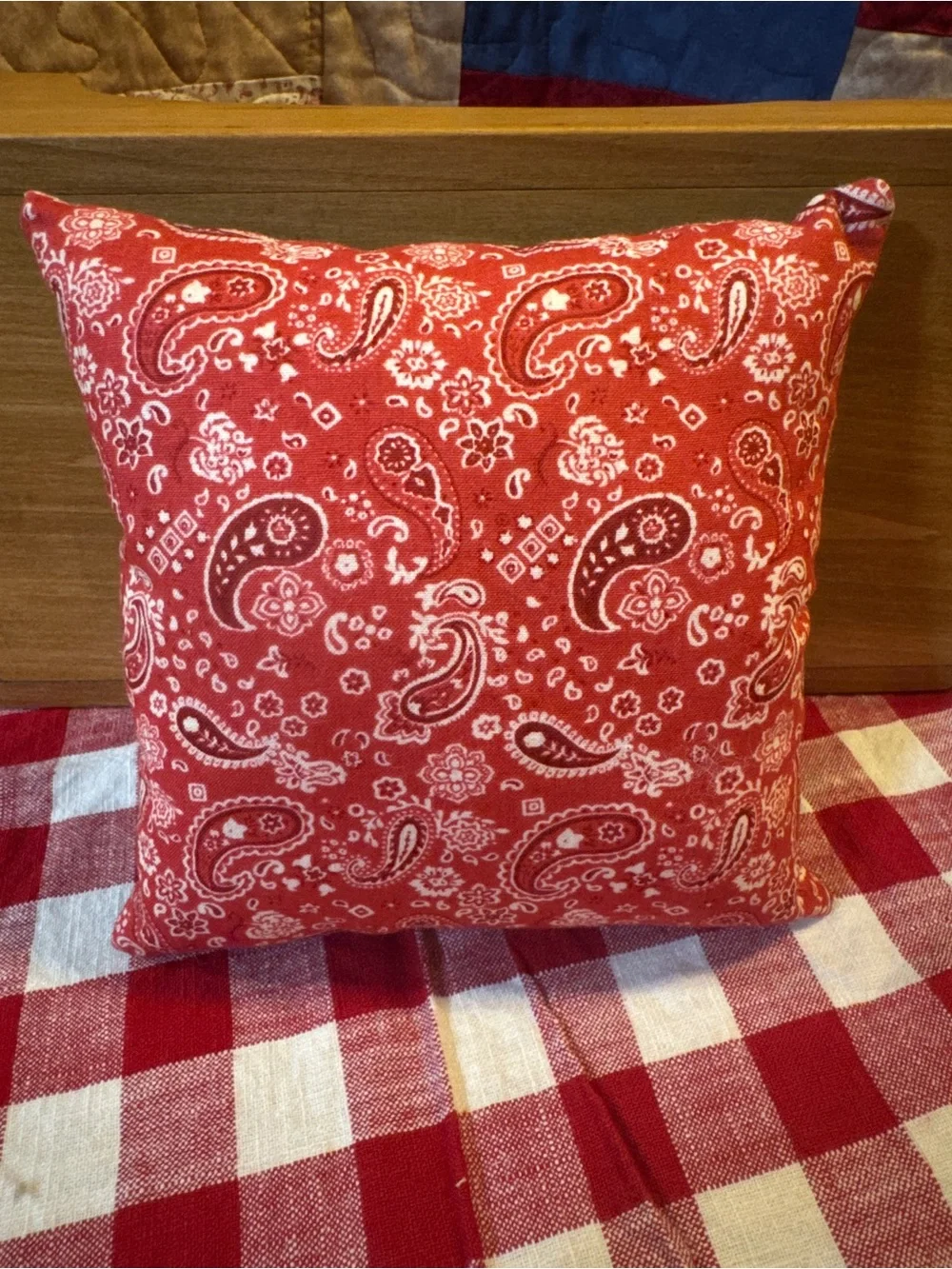 Handmade Blue Denim Duck Pillow with Red Paisley Accent